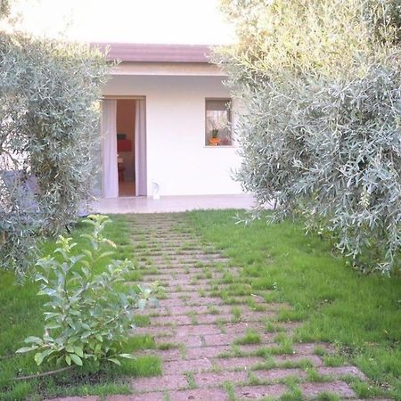 I Secolari Bed & Breakfast Sannicandro di Bari Exterior photo